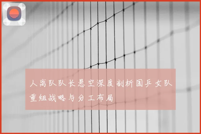 人离队队长悬空深度剖析国乒女队重组战略与分工布局