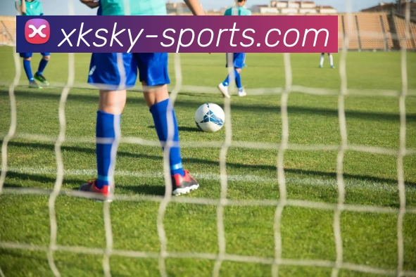 xingkong:全球职业竞技赛事资讯与实时数据交互门户平台生态图